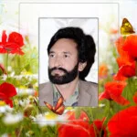 rafique lodhy