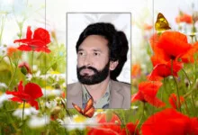 rafique lodhy