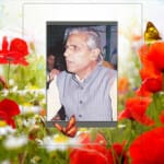 ummeed fazli