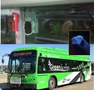 green bus