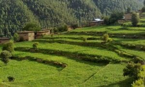 waadi tirah