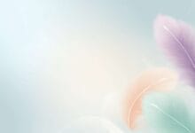 salamurdu background