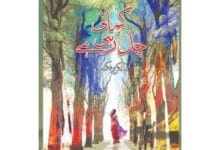 title kahani chal rahi hay