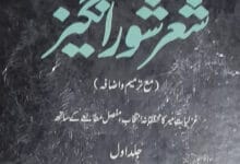 sher shor angaiz